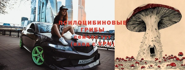 гашиш Арсеньев